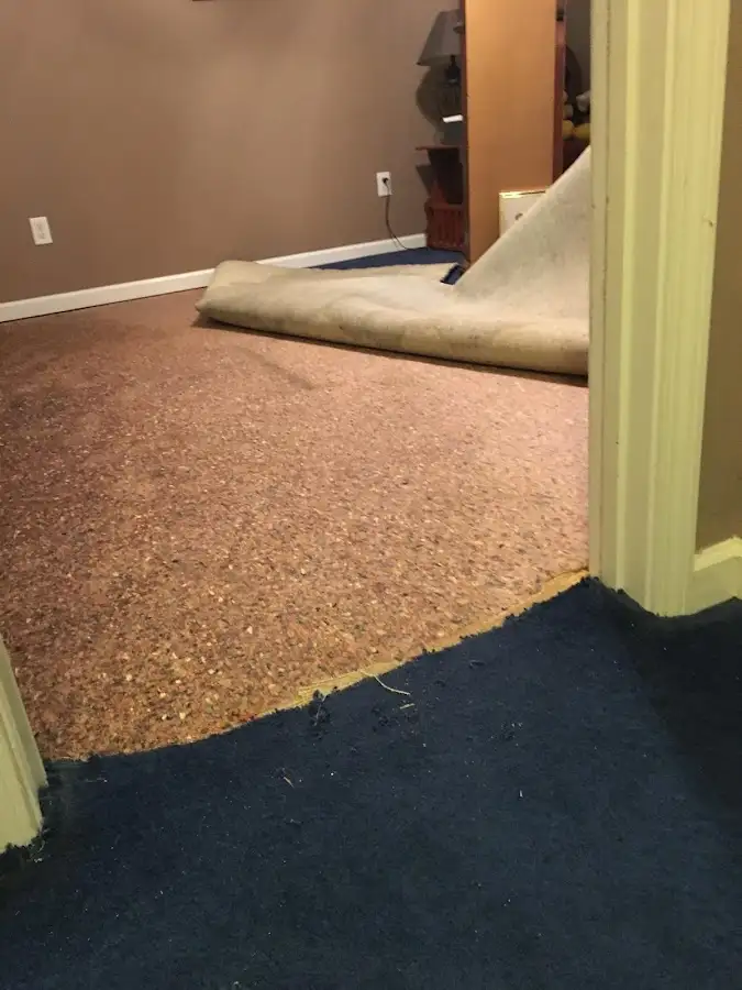 Carpet pad removal revealing water damage during Drying & Dehumidification in Bennettsville