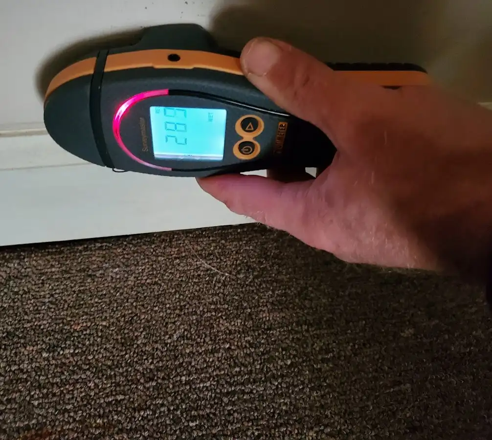 Moisture detection at baseboard during Mold Inspection & Testing in Bennettsville